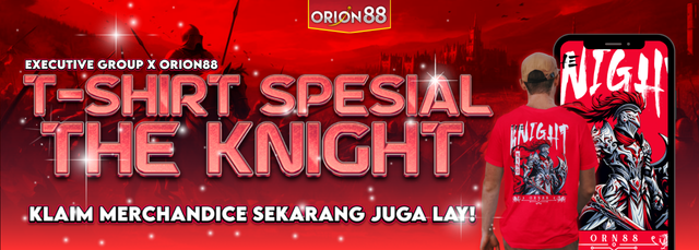 T-SHIRT SPESIAL THE KNIGHT