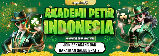 AKADEMI PETIR INDONESIA
